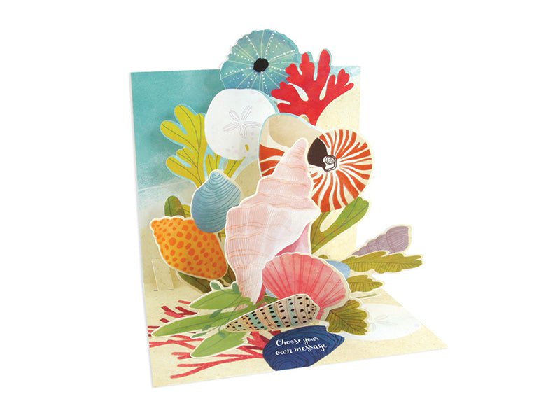 Pop Up Card - Ocean Shells - Mockingbird on Broad