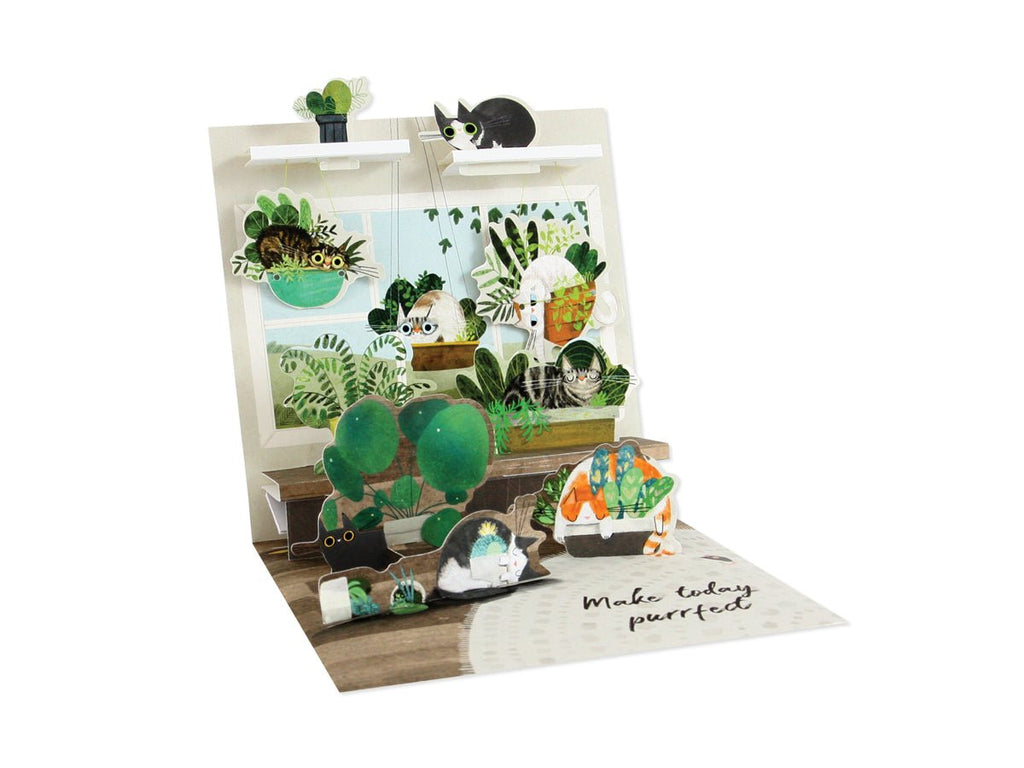 Pop Up Card - Cats In Plants - Mockingbird on Broad