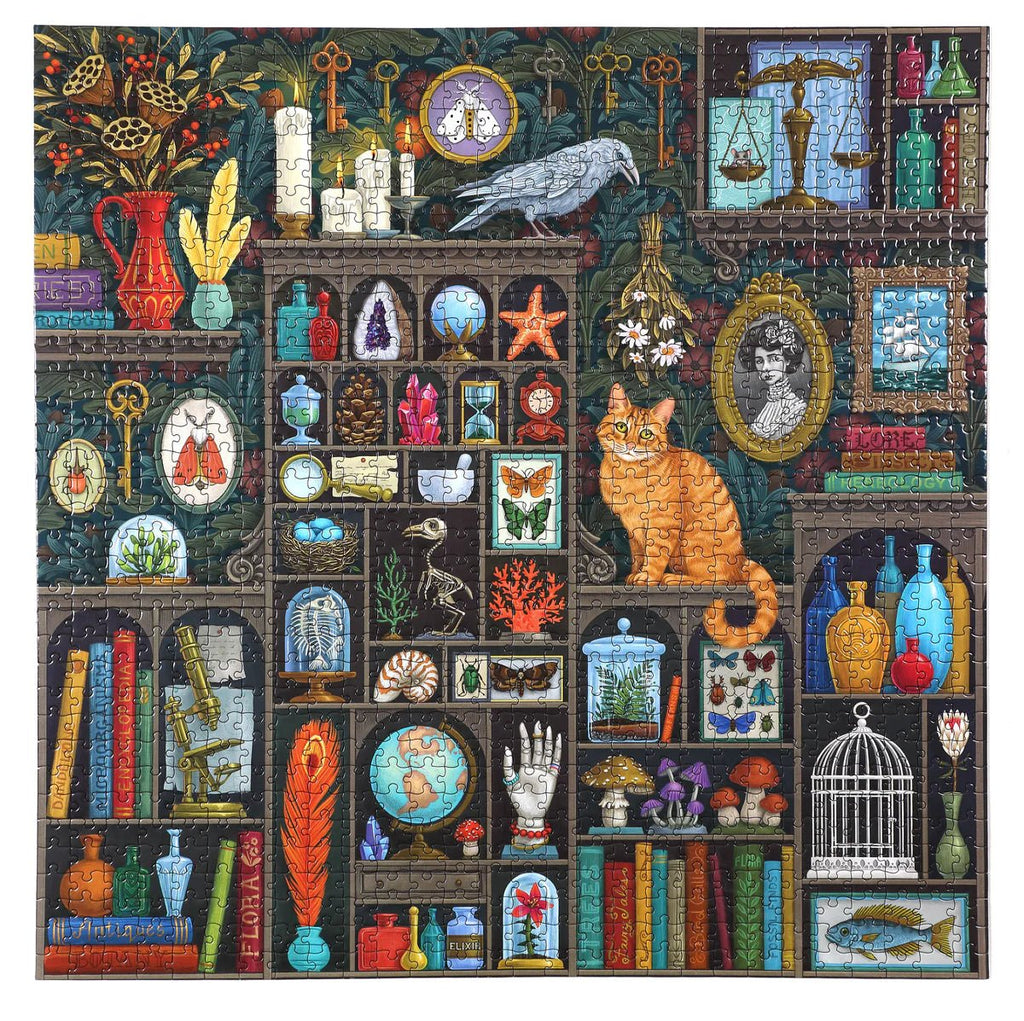 eeboo Puzzle - Alchemist's Library - 1000 Piece - Mockingbird on Broad