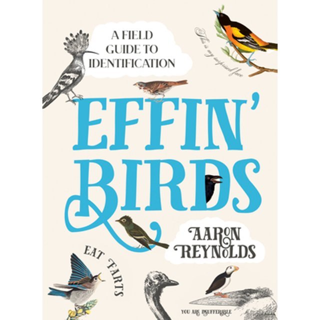Effin' Birds - A Field Guide To Identification By Aaron Reynolds - Mockingbird on Broad
