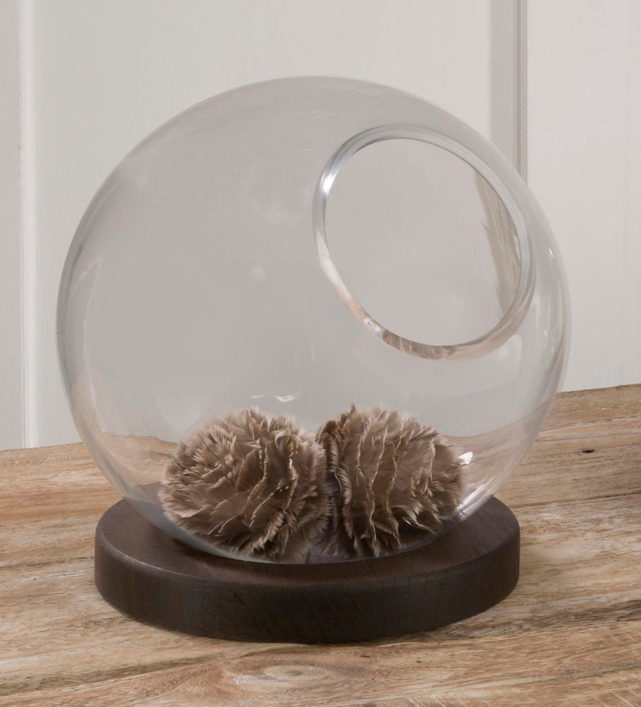 Glass Globe with Burnt Wood Base - Mockingbird on Broad