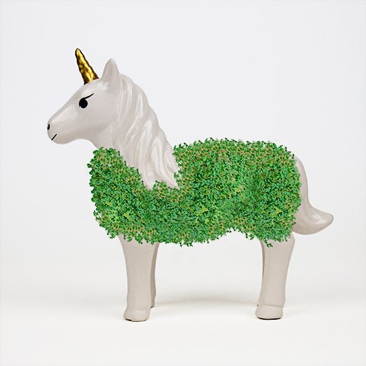 Unicorn Chia Planter - Mockingbird on Broad