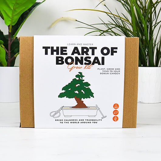 The Art of Bonsai Grow Kit - Mockingbird on Broad