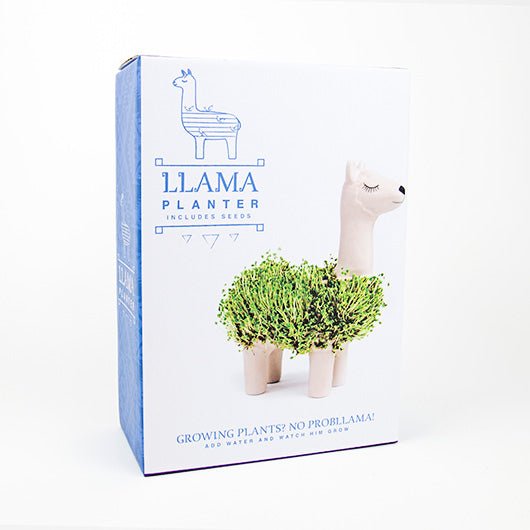 Llama Chia Seed Planter - Mockingbird on Broad
