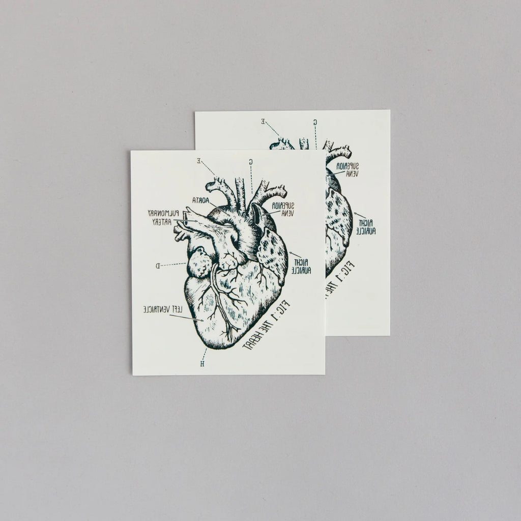 Tattly Temporary Tattoo - Heart Chart - Mockingbird on Broad