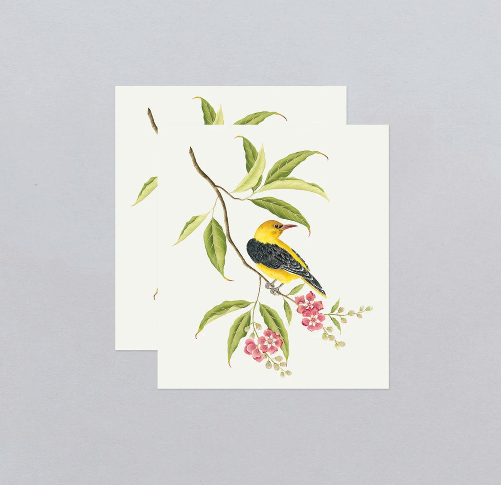 Tattly Temporary Tattoo - Golden Oriole - Mockingbird on Broad