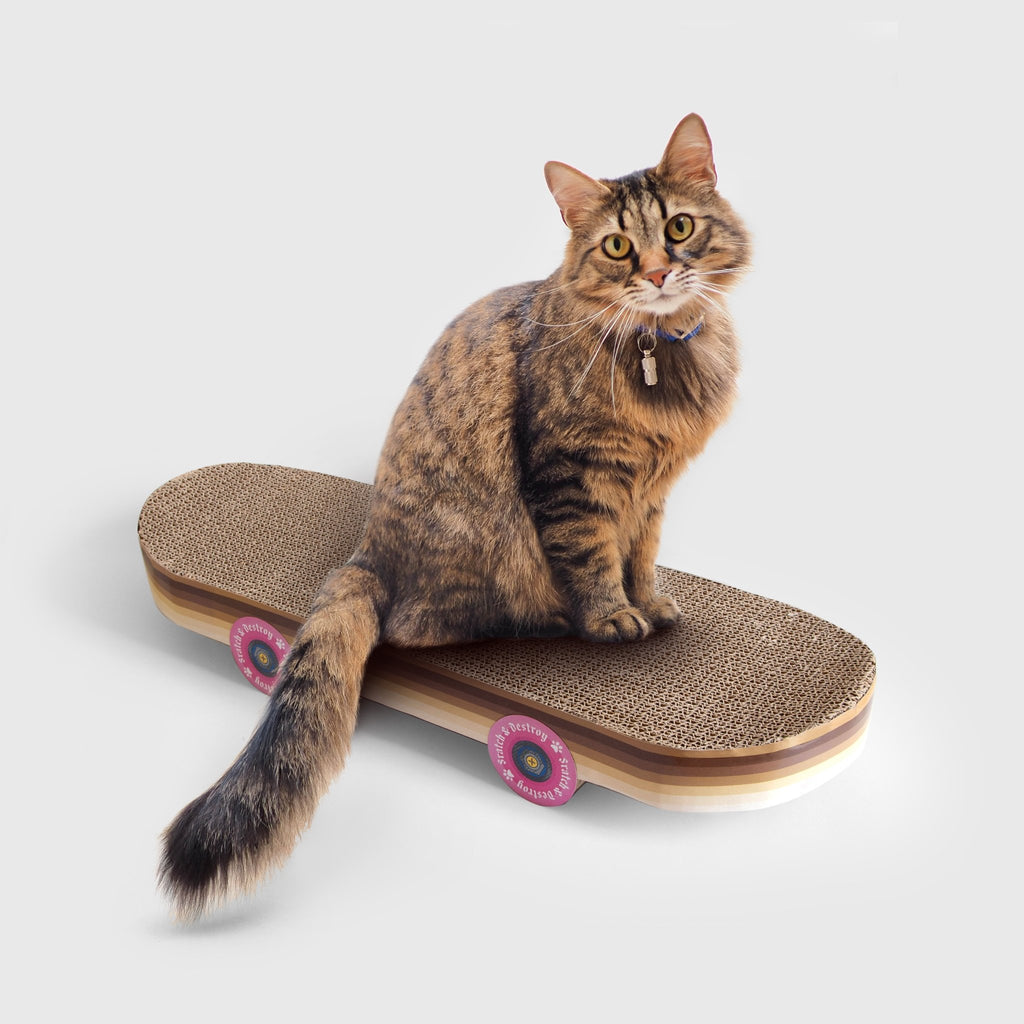 Cat Scratch Skateboard - Mockingbird on Broad