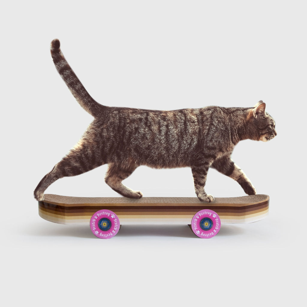 Cat Scratch Skateboard - Mockingbird on Broad