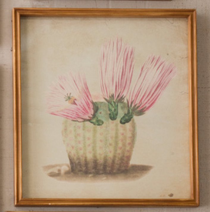 Cactus Flower Prints Collection | sold separately - Mockingbird on Broad