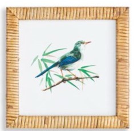 Songbird Framed Prints - Mockingbird on Broad