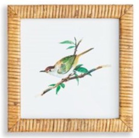 Songbird Framed Prints - Mockingbird on Broad