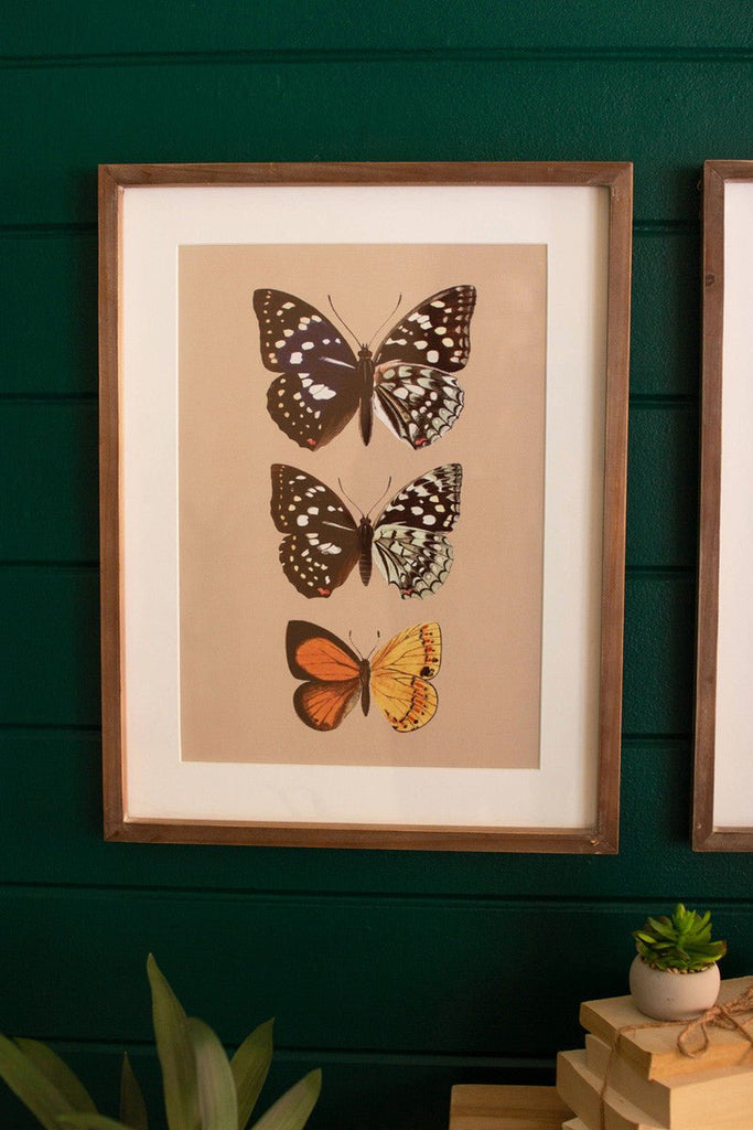Wall Art - Butterflies - Mockingbird on Broad