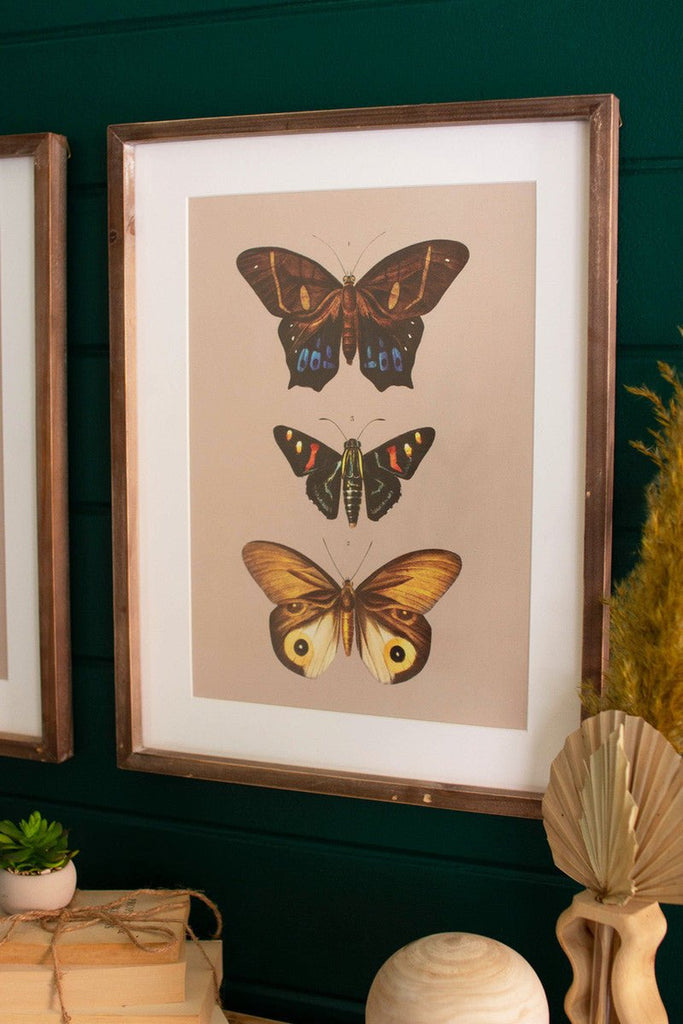Wall Art - Butterflies - Mockingbird on Broad