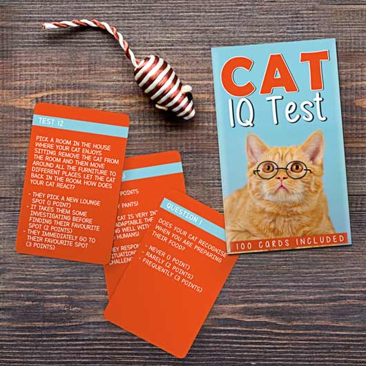 Cat IQ Test - Mockingbird on Broad