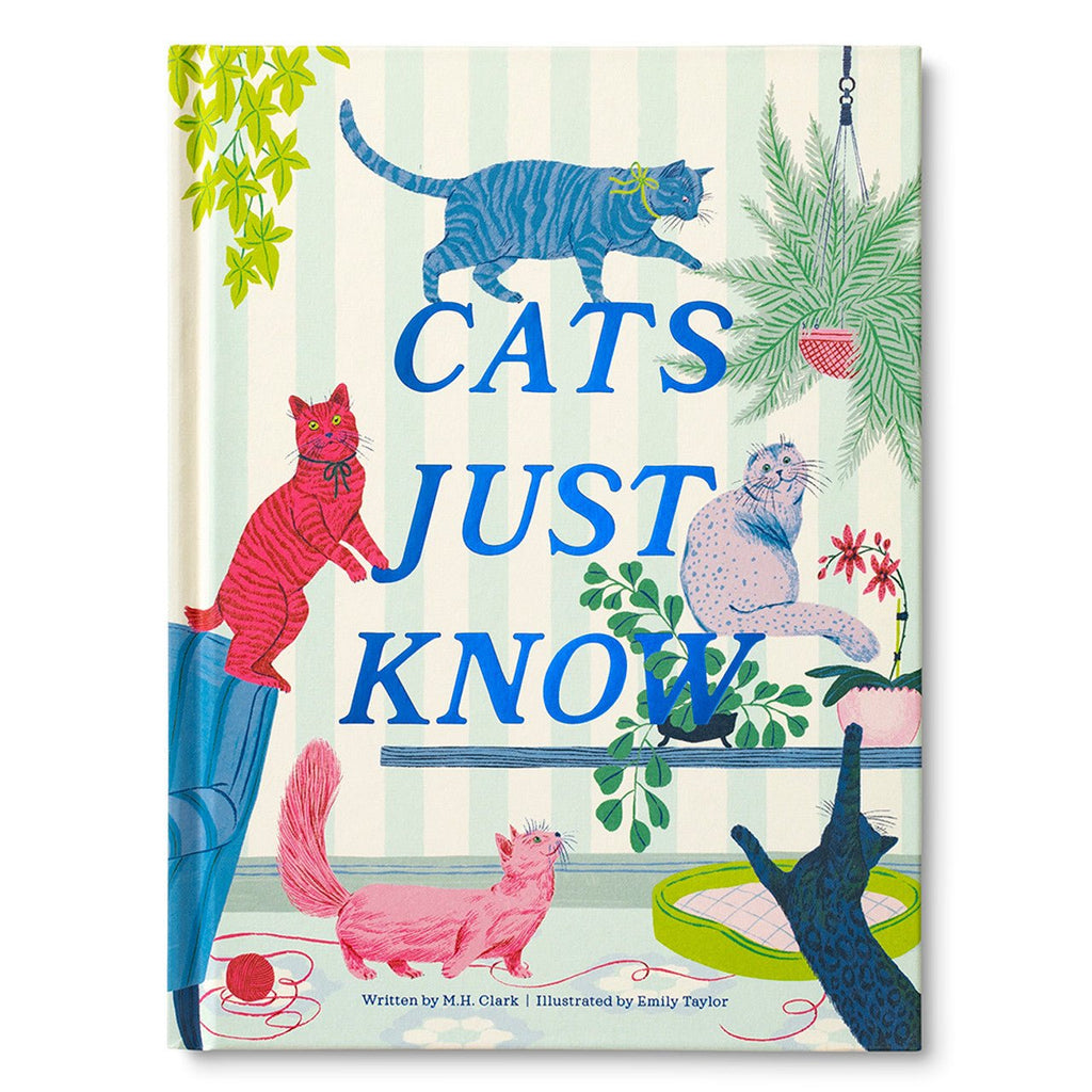 Cats Just Know | A Gift Book of Life Lessons Our Cats Teach Us - Mockingbird on Broad