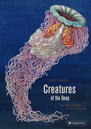 Pop Up| Creatures of The Deep By Ernest Haeckel - Mockingbird on Broad