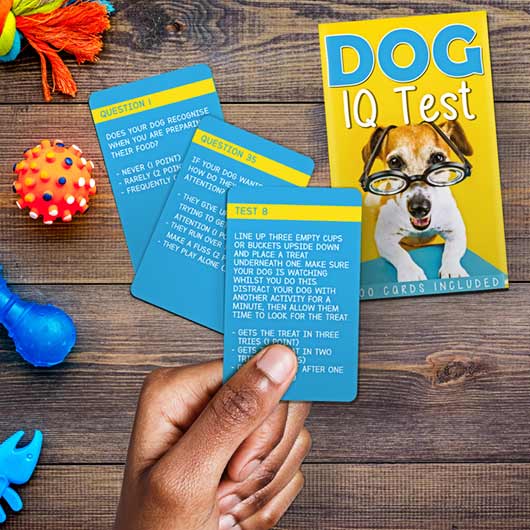Dog IQ Test - Mockingbird on Broad