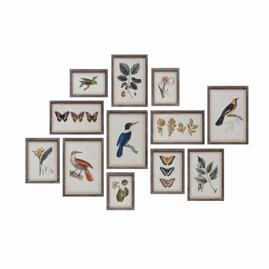 Framed Wall Art - Nature - Mockingbird on Broad