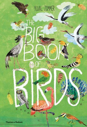 The Big Book of Birds | Yuval Zommer - Mockingbird on Broad