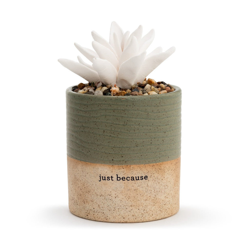 Succulent Oil Diffuser - Just Because - Mockingbird on Broad
