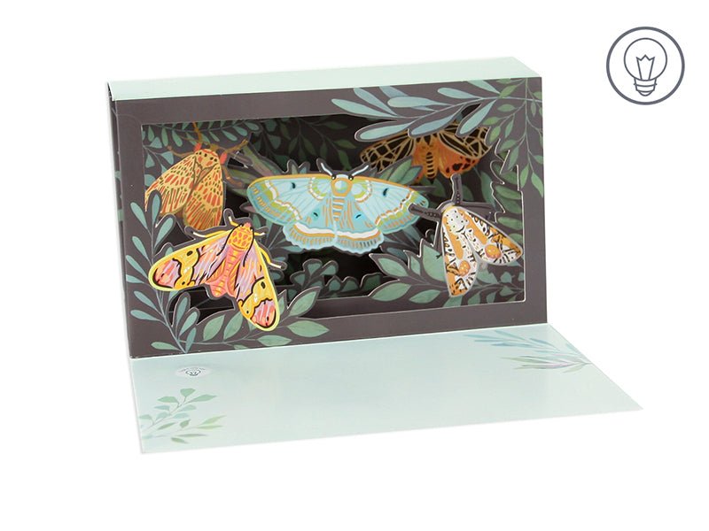 Pop Up Card - Moths - Mockingbird on Broad