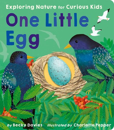 One Little Egg by Becky Davies - Mockingbird on Broad