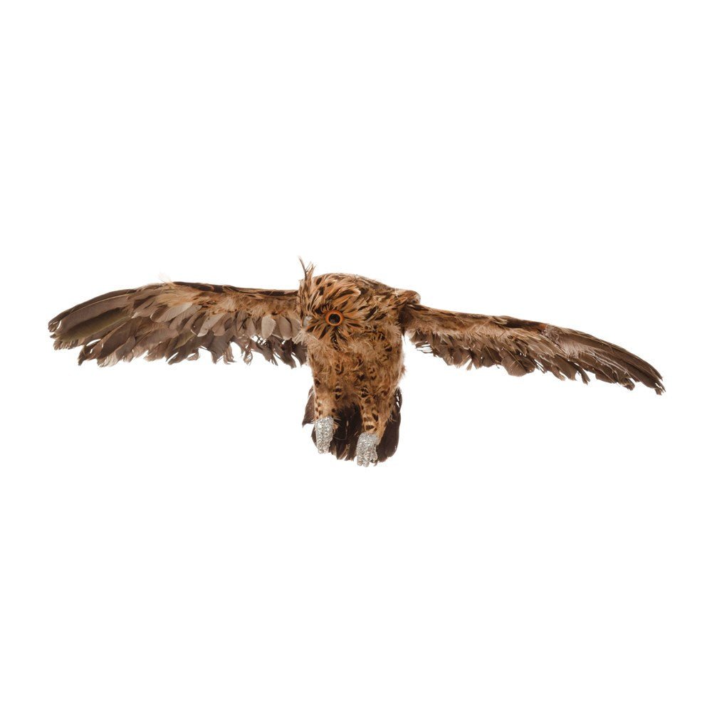 Flying Owl - Mockingbird on Broad