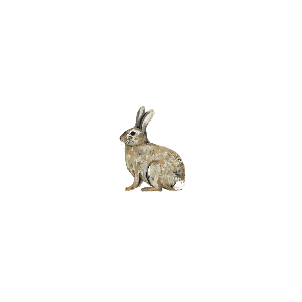 Tattly Temporary Tattoo - Bunny Rabbit - Mockingbird on Broad