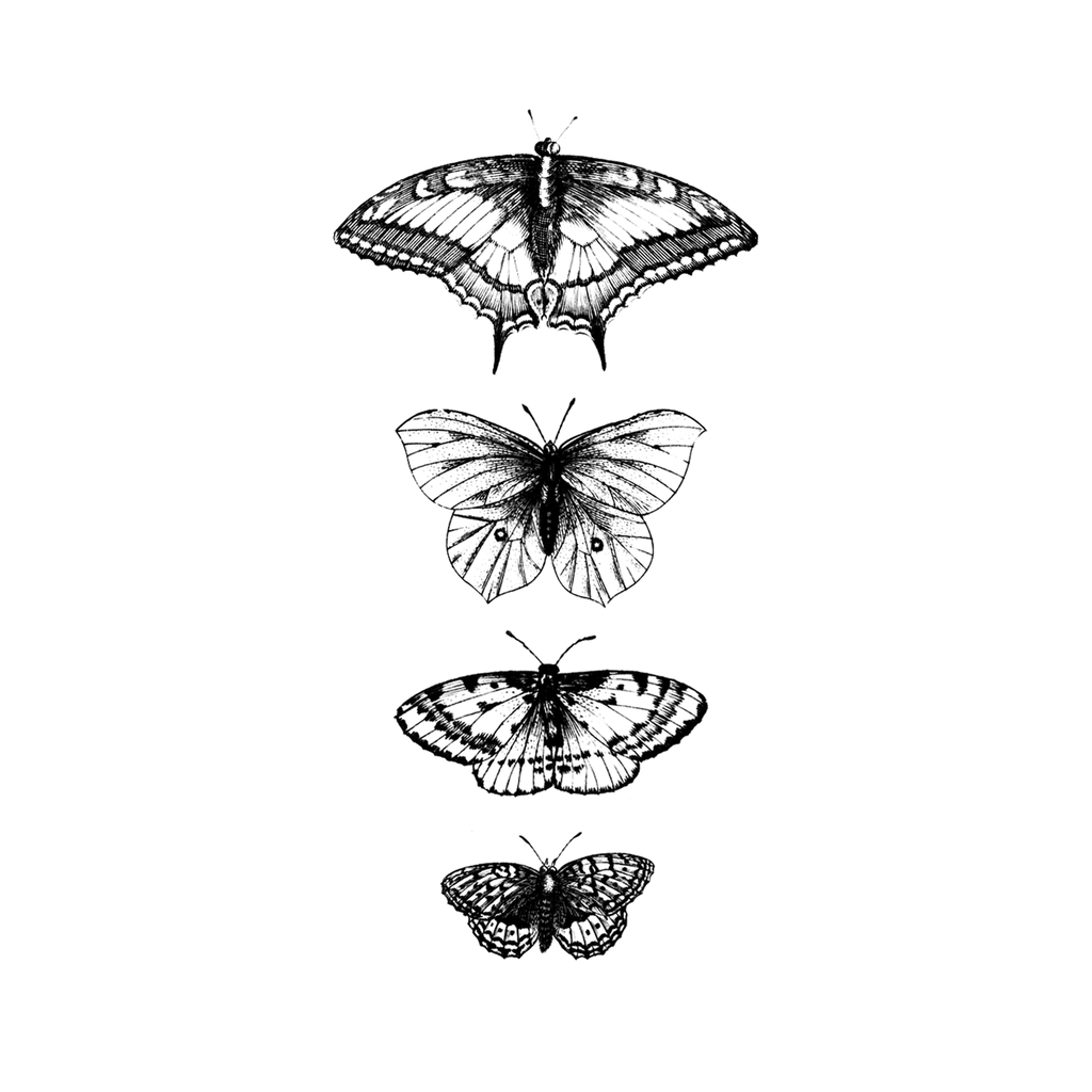 Tattly Temporary Tattoo - Butterflies - Mockingbird on Broad