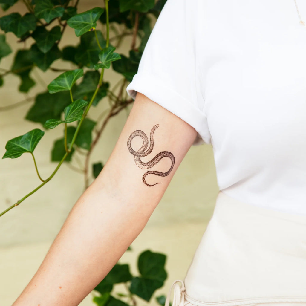 Tattly Temporary Tattoo - Serpent - Mockingbird on Broad