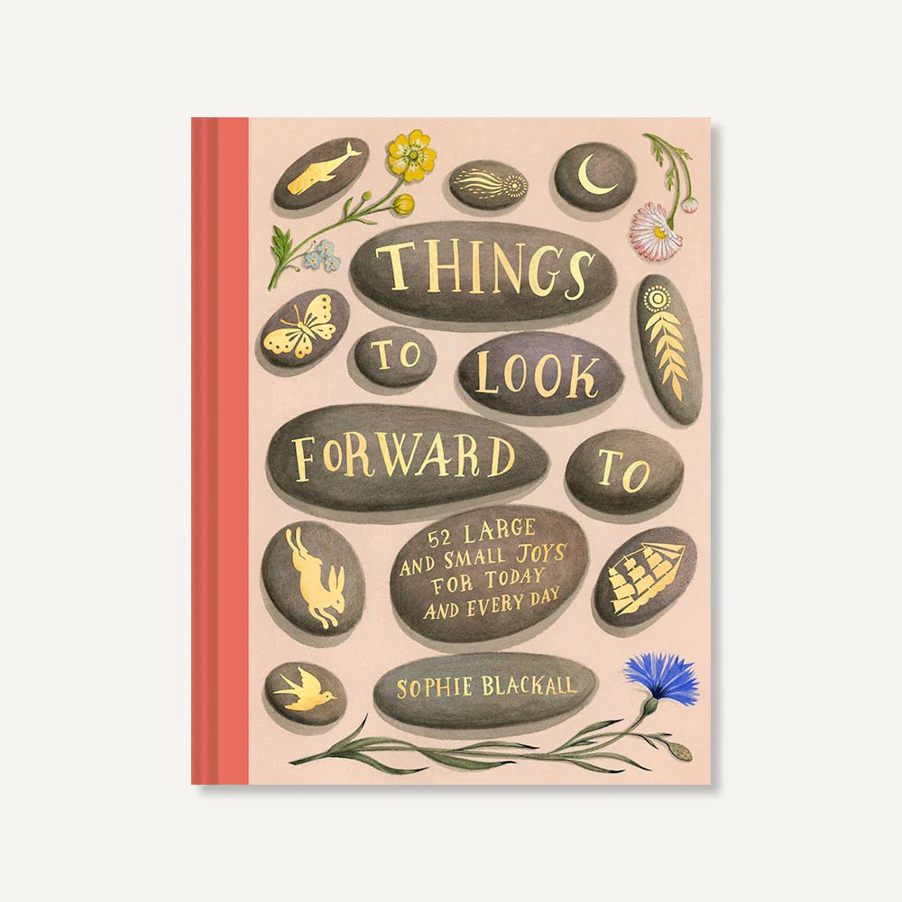 Things to Look Forward To 52 Large and Small Joys for Today and Every Day by Sophie Blackall - Mockingbird on Broad